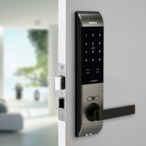 Residential Digital Door Locks